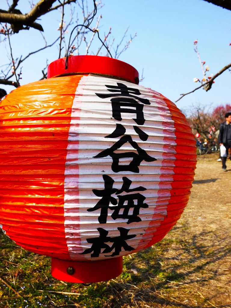 a colorful lantern