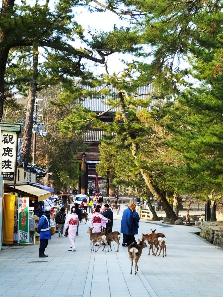 in front of Todaiji