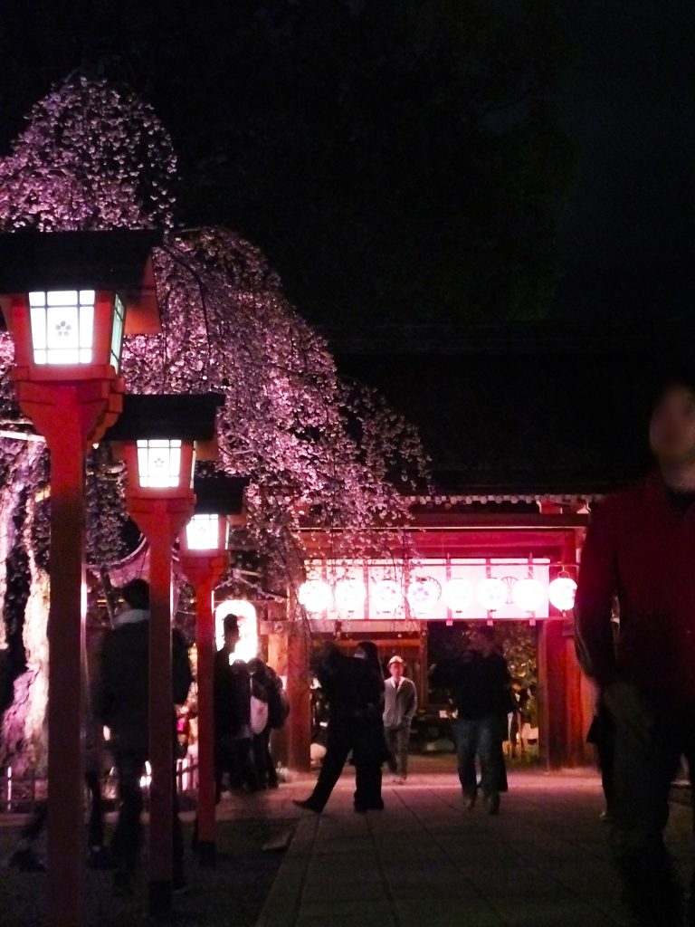 tōrō lanterns in the left side and chōchin lanterns in the middle