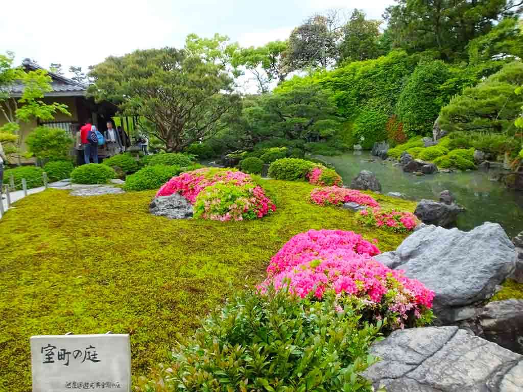 a-garden-with-azaleas