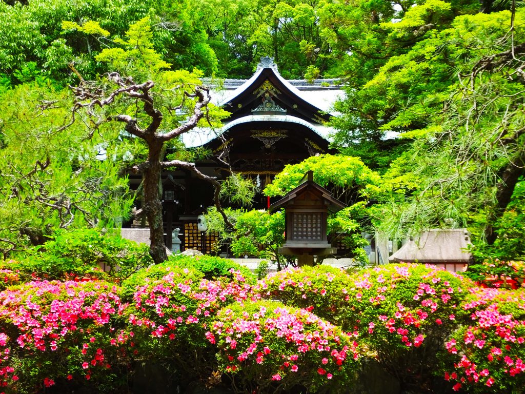 the haiden of Okazaki Shrine