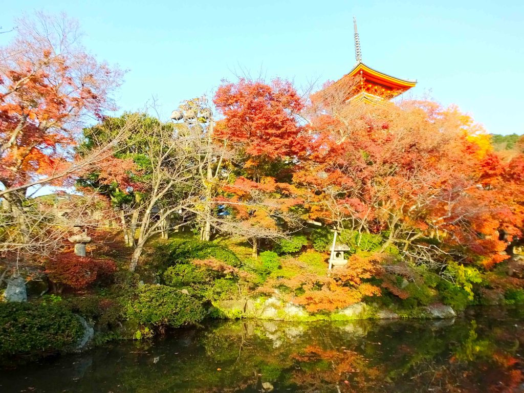 the pond, autumn leaves and Three-storied Pagoda