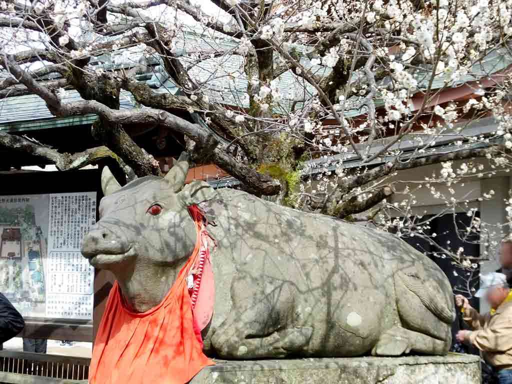 the cow statue under the ume tree)