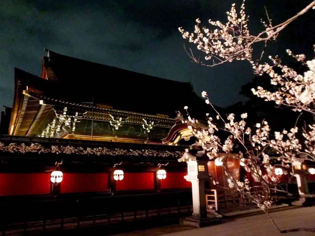 the-shrine-in-the-evening3