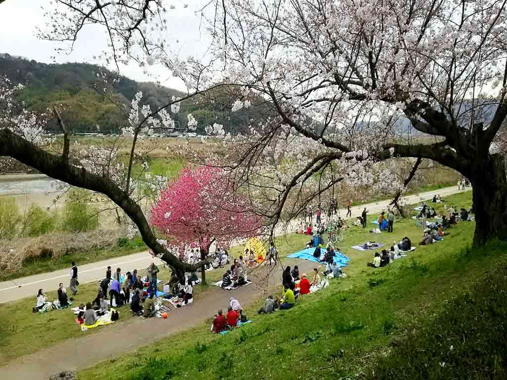 the food vendors and people having lunch from home2