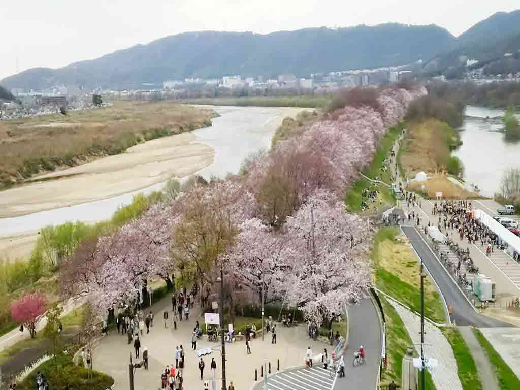 the view from the tower