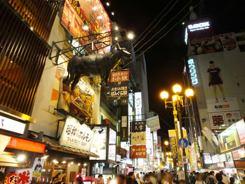 Dotonbori Street and the store signs2