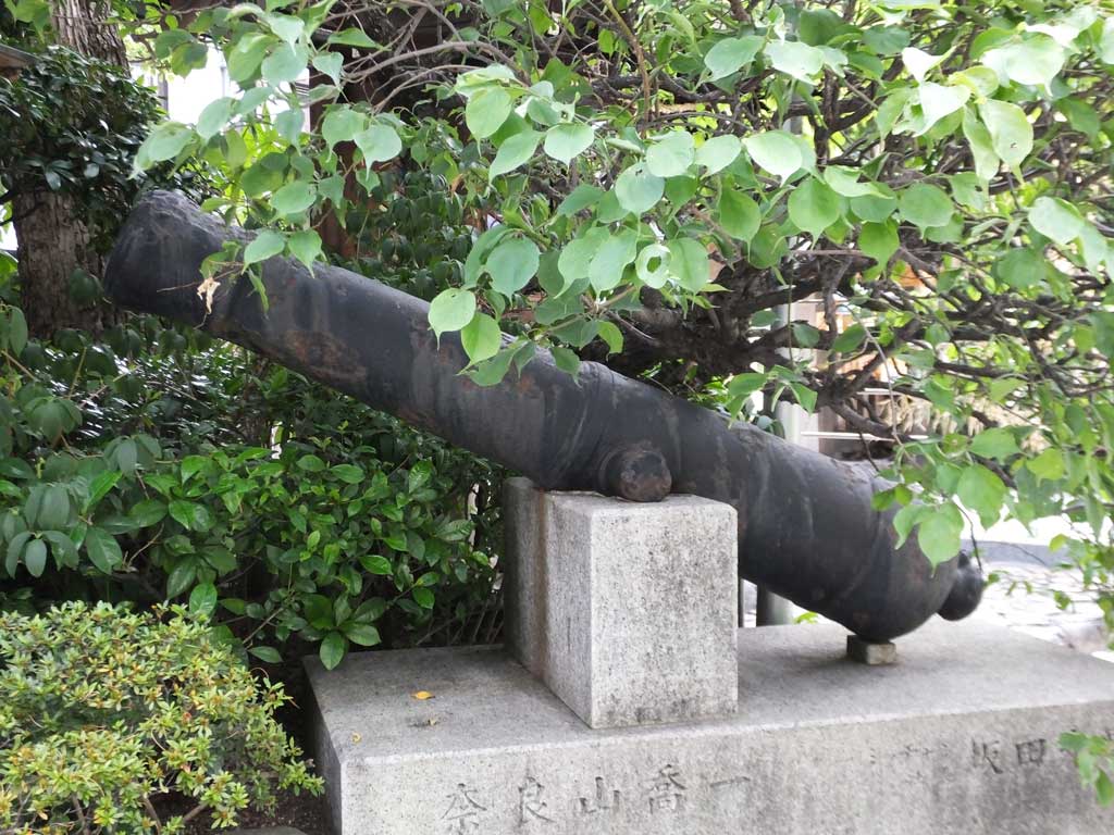 the cannon