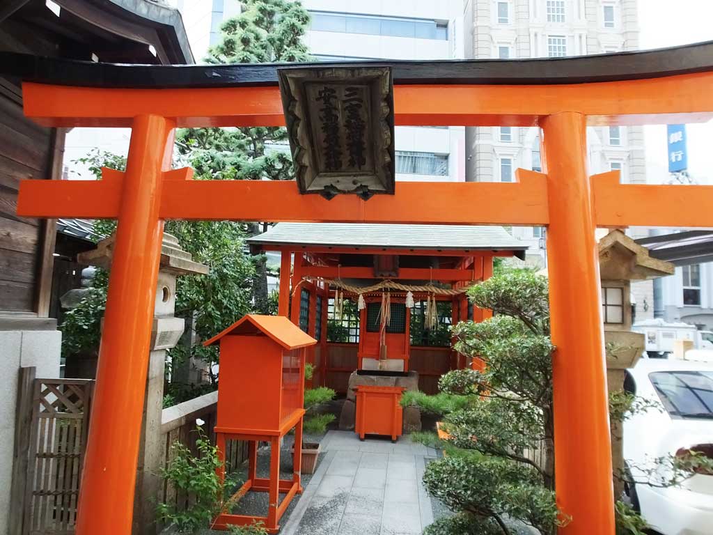 the vermillion torii gate 