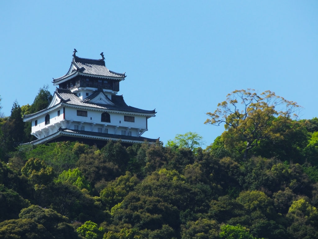 Iwakuni Castle       