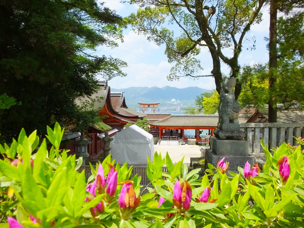 on the Miyajima island