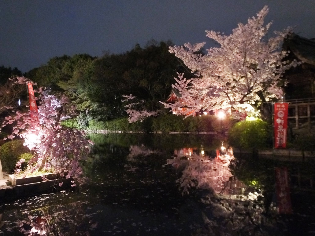 Shinsen-en garden 2        