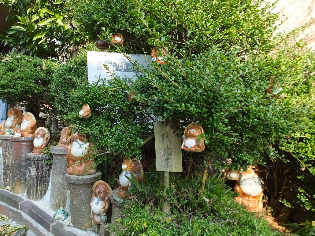 Tanuki-bearing Tree near the cafe