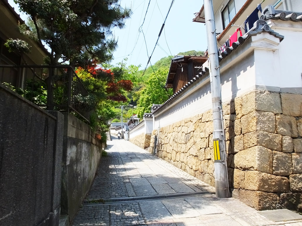 the slopes to Ioji Temple